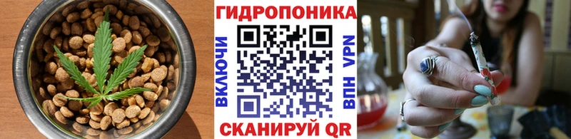 Cannafood конопля Мглин