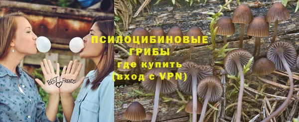 герыч Козельск