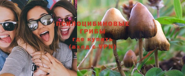 альфа пвп Козловка