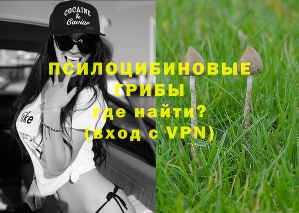 ПСИЛОЦИБИНОВЫЕ ГРИБЫ Кодинск